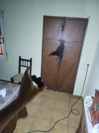 Linterna frontal LED, USB carga