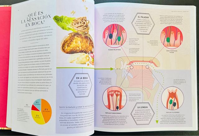 La ciencia de los sabores Dorling Kindersley 