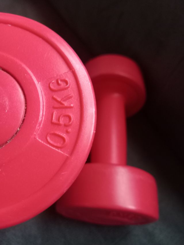 Manubri Rossi per Ginnastica