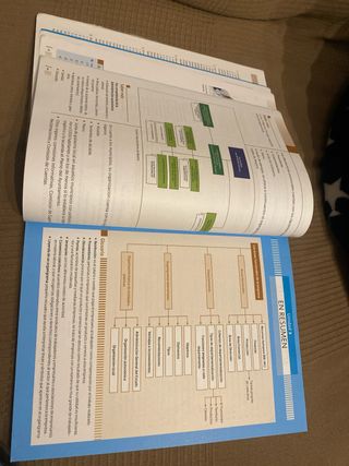 Técnicas administrativas básicas