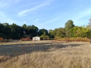 Finca rústica en Dehesa de los Llanos