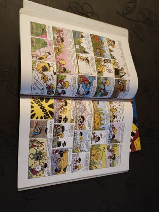 Zipi zape n°1 y jóvenes castores n°7