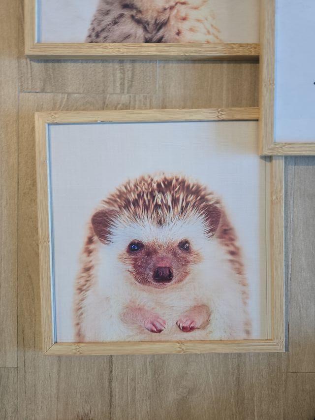 Láminas decorativas animales y frase