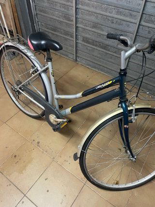 Bicicleta de paseig