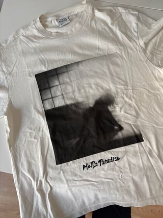 Lote 6 Camisetas Zara, Pull&Bear, Springfield...