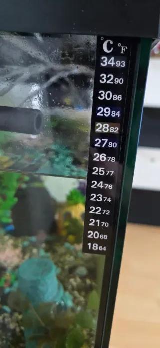 Acuario 89L