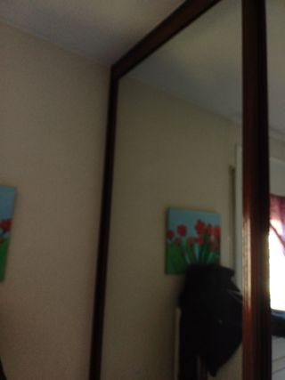 Doy Dos puertas de armario con espejo medidas : 24