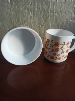 Vajilla Arcopal scania Vintage Flores Naranja