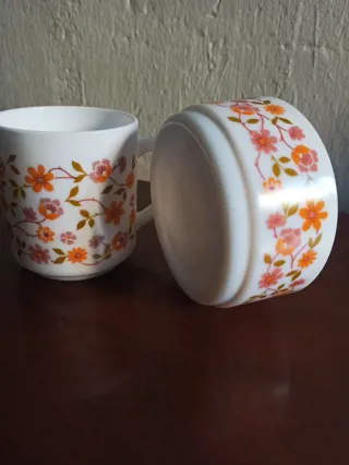 Vajilla Arcopal scania Vintage Flores Naranja