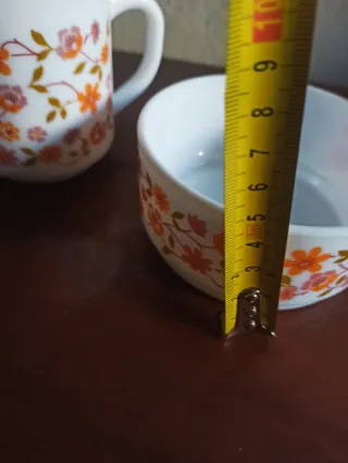 Vajilla Arcopal scania Vintage Flores Naranja