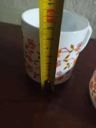 Vajilla Arcopal scania Vintage Flores Naranja