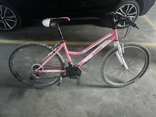 Bicicleta niña JL Wenti rosa