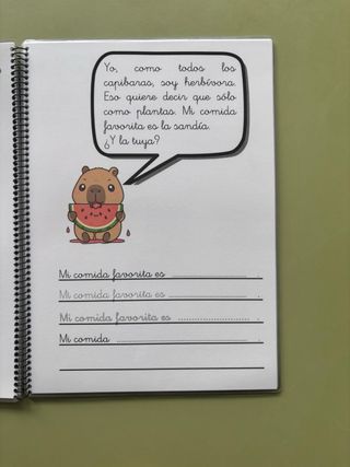 Cuaderno de lectoescritura plastificado