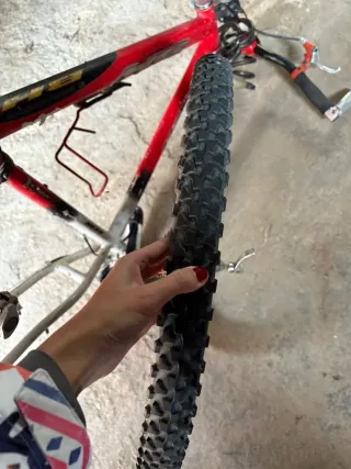 Bicicleta BH Coronas Réplica Team