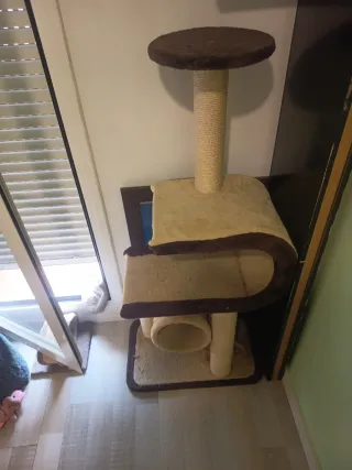 Tiragraffi per gatti