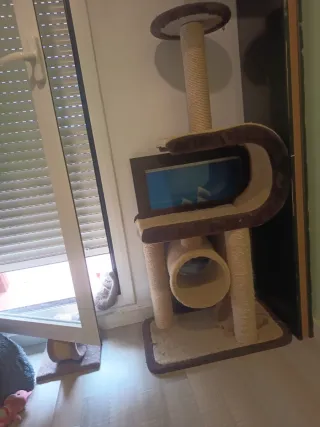 Tiragraffi per gatti