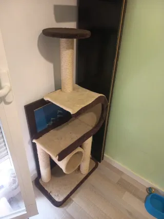 Tiragraffi per gatti