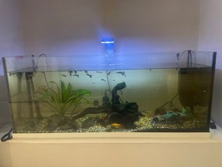 Acuario 100L Completo
