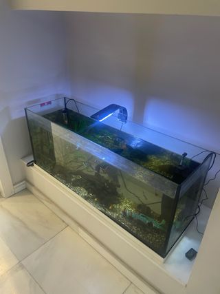 Acuario 100L Completo