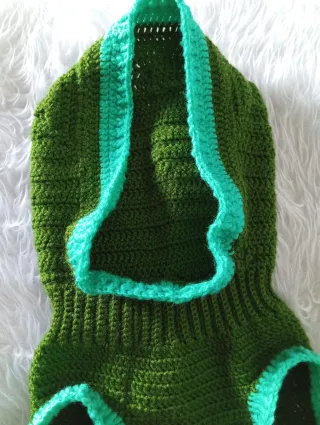 Ropa para Perro Dinosaurio Verde