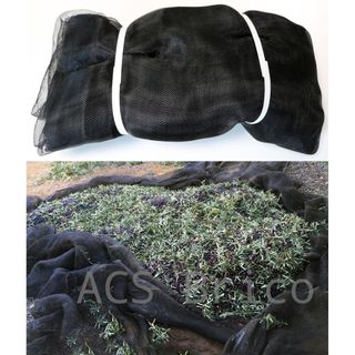 Manto Aceitunas Recolección - 80 g/m² - Negro - 5x10 m