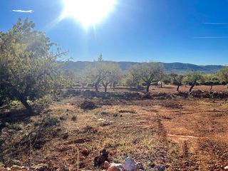 Terreno en venta en Alcalà de Xivert pueblo en Alcalà de Xivert