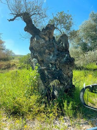 Terreno en venta en Alcalà de Xivert pueblo en Alcalà de Xivert