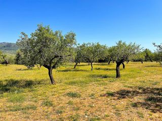 Terreno en venta en Alcalà de Xivert pueblo en Alcalà de Xivert