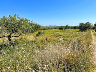 Terreno en venta en Alcalà de Xivert pueblo en Alcalà de Xivert