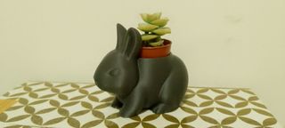 Vasetto Coniglietto Grigio Stampato in 3D