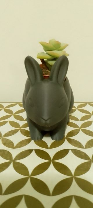 Vasetto Coniglietto Grigio Stampato in 3D