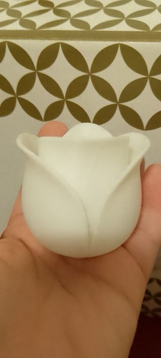 Vasetto Tulipano Bianco Stampa 3D