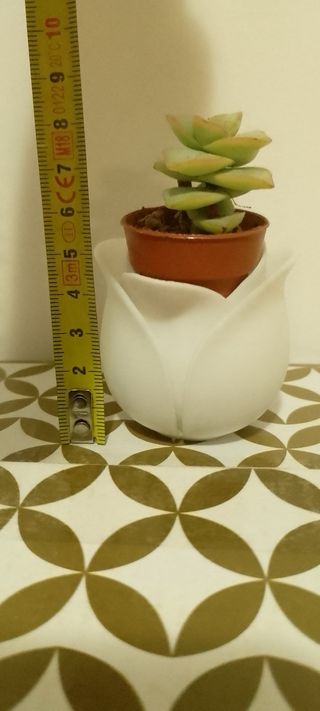 Vasetto Tulipano Bianco Stampa 3D