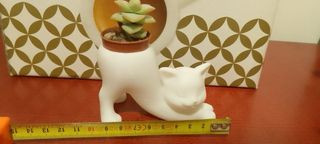 Vasetto Gattino Bianco Stampa 3D