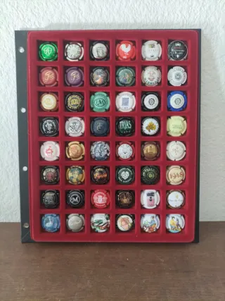 Colección Chapas Cava
