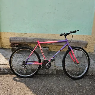 Bicicleta de Montaña