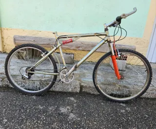 Bicicleta de Montaña