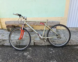 Bicicleta de Montaña