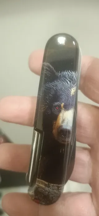 Victorinox Fieldmaster Oso  Navaja