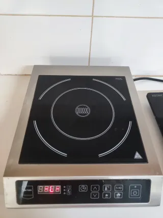 Placa Inducción Profesional