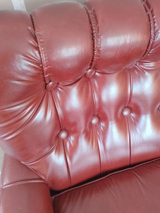 Sa campaña navidad 2024