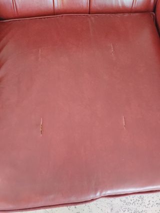 Sa campaña navidad 2024