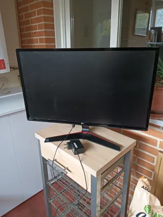 Monitor LG 24 para juegos