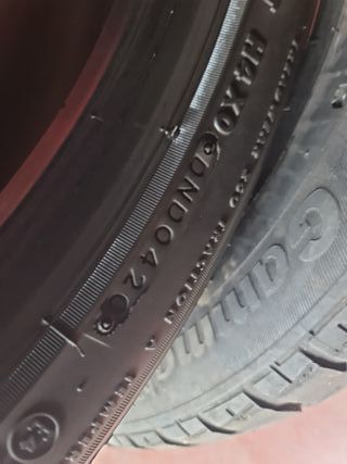 Pareja Neumáticos 215/45 R18 89W (2020)