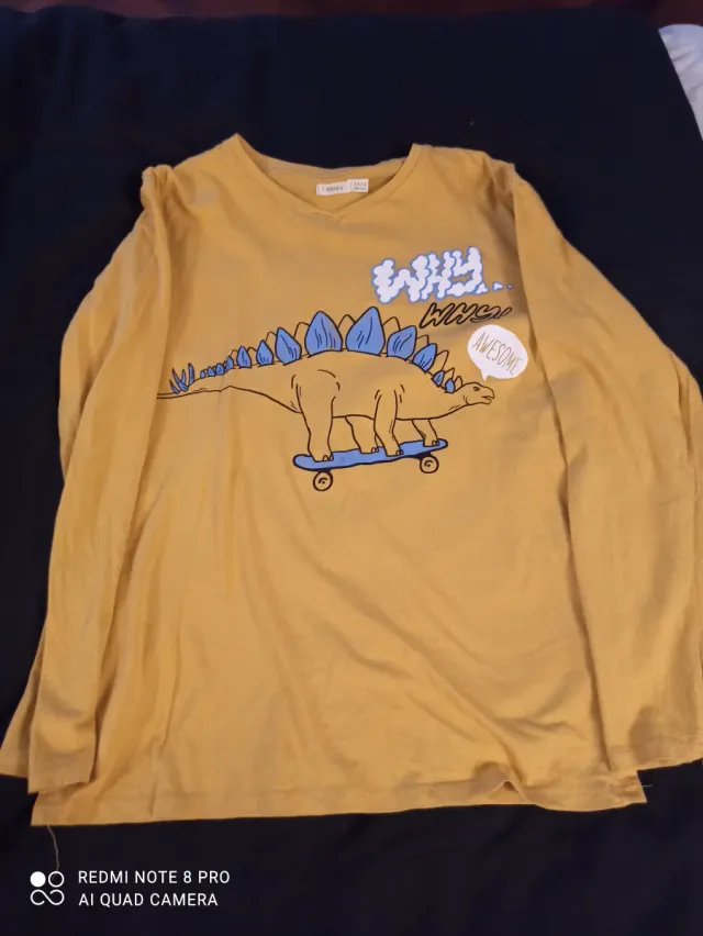 Camiseta Sfera Dinosaurio Talla 11/12