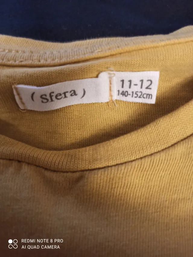 Camiseta Sfera Dinosaurio Talla 11/12