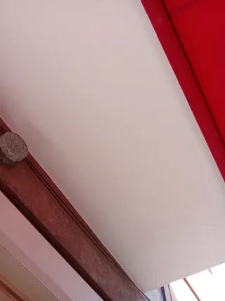 Pintura y limpieza de terrenos y arreglos