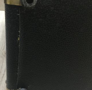 PEAVEY ECOUSTIC E20