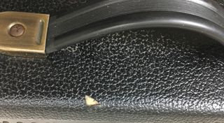 PEAVEY ECOUSTIC E20