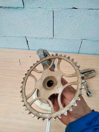 Pedales y plato bicicleta vintage